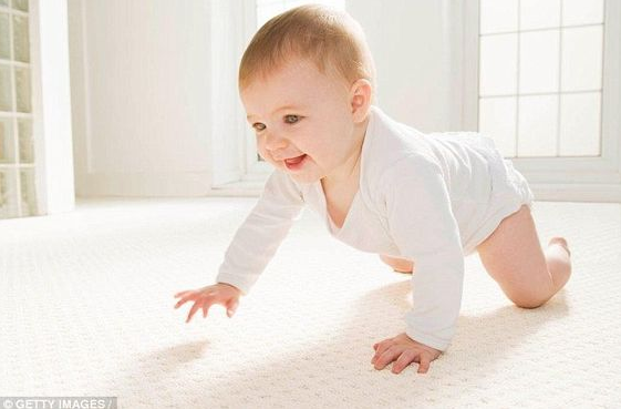 7 stages of crawling